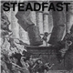 Steadfast - Our Sights Are Set